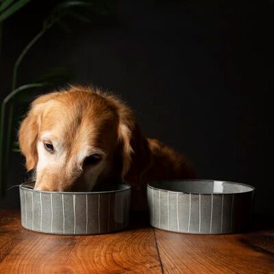 Scruffs Ceramic Heavy Duty Reactive Glaze Pet Bowls 2pc Set Grey Pinstripe 19cm Scruffs Ceramic Heavy Duty Reactive Glaze Pet Bowls 2pc Set Grey Pinstripe 19cm