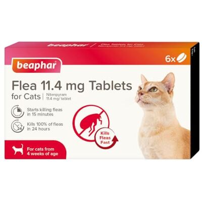 Beaphar Flea Tablets for Cats & Kittens 6 Treatment Pack Rapid Knock Down of Fleas Starts Killing Fleas in 15 Minutes, Kills 100% in 24hrs Veterinary Medicine For Cats from 4 Weeks Old Beaphar Flea Tablets for Cats & Kittens 6 Treatment Pack Rapid Knock Down of Fleas Starts Killing Fleas in 15 Minutes, Kills 100% in 24hrs Veterinary Medicine For Cats from 4 Weeks Old