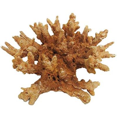 CLASSIC Pet Products Coral 185Mm Aquarium Ornament CLASSIC Pet Products Coral 185Mm Aquarium Ornament