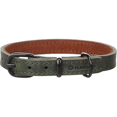 Flamingo Dog Collar Montana Green S 29,5-35,5cm 15mm Flamingo Dog Collar Montana Green S 29,5-35,5cm 15mm