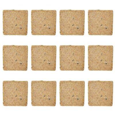 Garden Ting Mealworm Suet Block Wild Bird Treat, 12 x 300g Garden Ting Mealworm Suet Block Wild Bird Treat, 12 x 300g