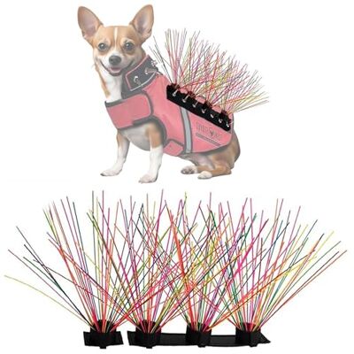 CoyoteVest CoyoteWhiskers Protection Nylon Bristles for or SpikeVest Dog Harness Vest, Dog Accessories That Deter Coyote, Hawk and Raptor Attacks (Set of 4, Rainbow) CoyoteVest CoyoteWhiskers Protection Nylon Bristles for or SpikeVest Dog Harness Vest, Dog Accessories That Deter Coyote, Hawk and Raptor Attacks (Set of 4, Rainbow)