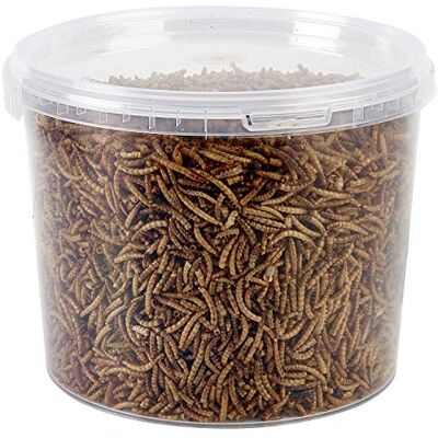 UINCLU Garden Ting Dried Mealworms Tub, 3 Litre UINCLU Garden Ting Dried Mealworms Tub, 3 Litre