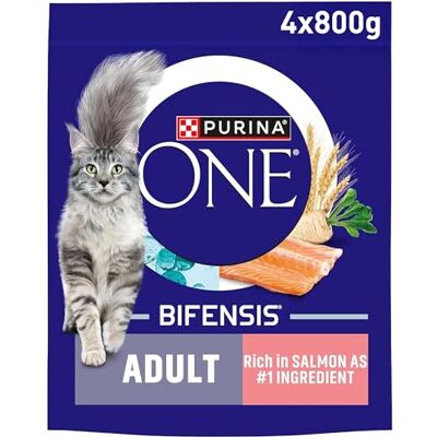 PURINA ONE Salmon Dry Cat Food 800g (Pack of 4) PURINA ONE Salmon Dry Cat Food 800g (Pack of 4)