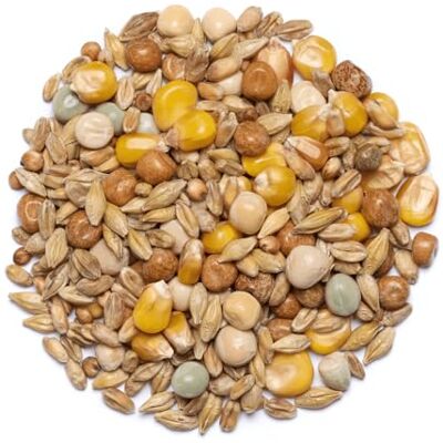Countrywide Stock Bird Pigeon Seed Mix 20kg All Year Round Quality Dust Free Corn Includes Maple Peas & French Roundberry Maize Countrywide Stock Bird Pigeon Seed Mix 20kg All Year Round Quality Dust Free Corn Includes Maple Peas & French Roundberry Maize