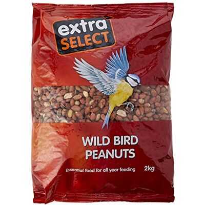 Extra Select Wild Bird Peanuts: High Grade, Protein Rich, Year Round Wild Bird Food Peanuts Ideal for Winter Feed 2kg Extra Select Wild Bird Peanuts: High Grade, Protein Rich, Year Round Wild Bird Food Peanuts Ideal for Winter Feed 2kg