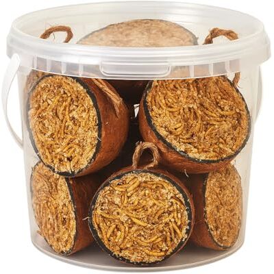 Hungry Wings Premium Mealworm Coconut Halves, Wild Bird Food, 2.5L Hungry Wings Premium Mealworm Coconut Halves, Wild Bird Food, 2.5L