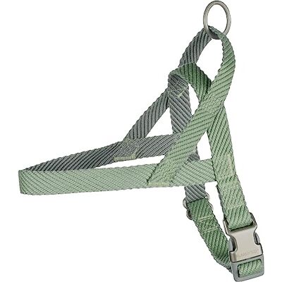 Flamingo Dog Harness Noors Elly Light green M 42cm 52-65cm 25mm Flamingo Dog Harness Noors Elly Light green M 42cm 52-65cm 25mm