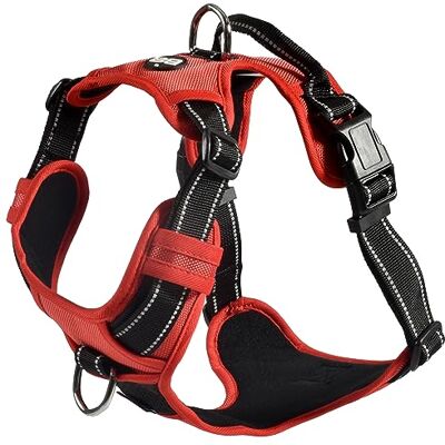 Bobby Rando Walk Nylon Dog Harness - Dog Harness Bobby Rando Walk Nylon Dog Harness - Dog Harness