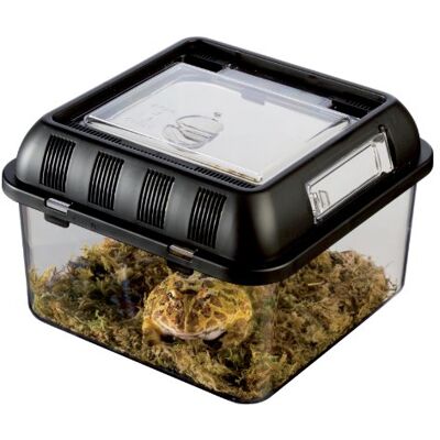 Exo Terra Breeding Box, Small Exo Terra Breeding Box, Small