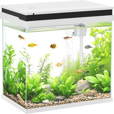 PawHut 26L Small Fish Tank with Filter System - Fish Tank PawHut 26L Small Fish Tank with Filter System - Fish Tank