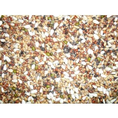 Johnston & Jeff Pigeon Trapping Mixture, 12.5 kg Johnston & Jeff Pigeon Trapping Mixture, 12.5 kg