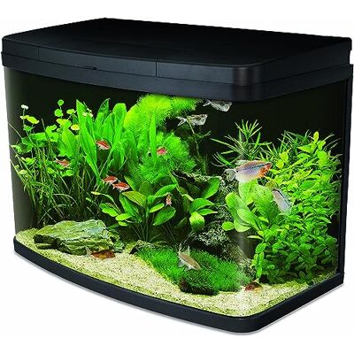 Interpet Insight Glass Aquarium Fish Tank Starter Kit, with LED Lights, Easy Care Filter, Heater, Aquacare Reminder System, Water Condiditioner, 64 L Interpet Insight Glass Aquarium Fish Tank Starter Kit, with LED Lights, Easy Care Filter, Heater, Aquacare Reminder System, Water Condiditioner, 64 L