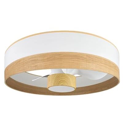Eden pulse 24W DC Fan 3 Blades, 6 Speeds, 2390 Lumens, 3 Colors, Remote Control, Memory and Timer Ideal for Cooling and Convenience. Eden pulse 24W DC Fan 3 Blades, 6 Speeds, 2390 Lumens, 3 Colors, Remote Control, Memory and Timer Ideal for Cooling and Convenience.