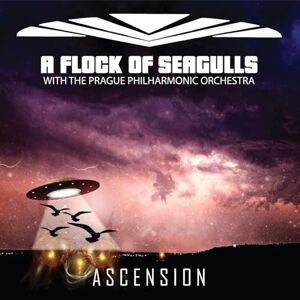 Ascension Ascension