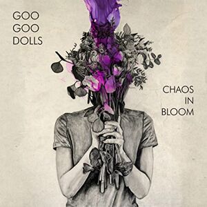 Chaos In Bloom Chaos In Bloom