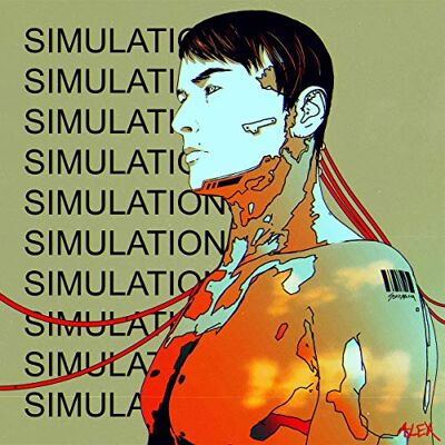 Simulations Simulations