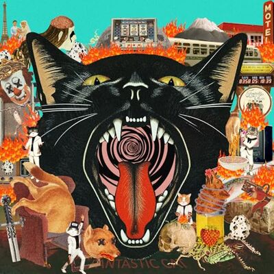 Cat Out of Hell Cat Out of Hell