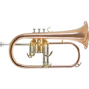 GEWA Roy Benson Bb Flügelhorn MOD.FH-302G Goldmessing Schall, inkl. Etui GEWA Roy Benson Bb Flügelhorn MOD.FH-302G Goldmessing Schall, inkl. Etui
