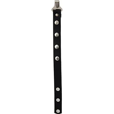 GEWA 766100 Querriemen für Akkordeon Mod.Warnke Leder schwarz,Black,0.24x8.9x3.07 GEWA 766100 Querriemen für Akkordeon Mod.Warnke Leder schwarz,Black,0.24x8.9x3.07