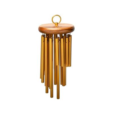 Meinl Percussion Hand Held Chimes Large Musical Instrument with 24 Sound Bars Hand-Played With Holding Ring Aluminum, Gold (CH-H24) Meinl Percussion Hand Held Chimes Large Musical Instrument with 24 Sound Bars Hand-Played With Holding Ring Aluminum, Gold (CH-H24)
