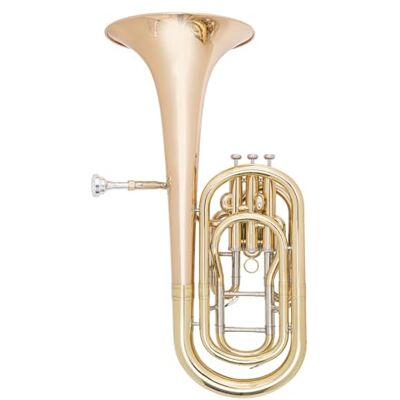ODYSSEY OBH1000 Debut 'Bb' Baritone Horn Outfit with Deluxe Case & Accessory Kit Professional Instrument with Premium Stainless Steel Piston Ideal for Beginners and Professionals ODYSSEY OBH1000 Debut 'Bb' Baritone Horn Outfit with Deluxe Case & Accessory Kit Professional Instrument with Premium Stainless Steel Piston Ideal for Beginners and Professionals
