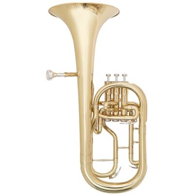 ODYSSEY OTH1000 Debut 'Eb' Tenor Horn Outfit with Deluxe Case & Accessory Kit Instrument with Polished Brass Body, Stainless Steel Pistons Ideal for Brass and Military Bands ODYSSEY OTH1000 Debut 'Eb' Tenor Horn Outfit with Deluxe Case & Accessory Kit Instrument with Polished Brass Body, Stainless Steel Pistons Ideal for Brass and Military Bands