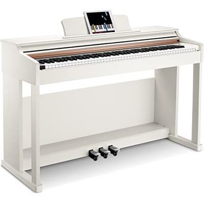 Donner Digial Piano 88 Key Weighted DDP-100 88-Key Weighted Action Digital Piano, Beginner keyboard piano Bundle with Furniture Stand, Power Adapter, White Donner Digial Piano 88 Key Weighted DDP-100 88-Key Weighted Action Digital Piano, Beginner keyboard piano Bundle with Furniture Stand, Power Adapter, White