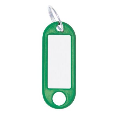 WEDO Key Fob Pack of 100, Green with 18 mm Ring, Writeable & Interchangeable Labels, 52 x 21 x 3 mm, Made in Germany WEDO Key Fob Pack of 100, Green with 18 mm Ring, Writeable & Interchangeable Labels, 52 x 21 x 3 mm, Made in Germany