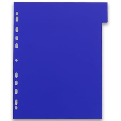 Oxford Eleganzia A4XL 10 Packs of Neutral Dividers 6 Positions Opaque Polypropylene Thickness 30/100th Assorted Colours Oxford Eleganzia A4XL 10 Packs of Neutral Dividers 6 Positions Opaque Polypropylene Thickness 30/100th Assorted Colours
