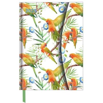 N NEUMANNVERLAGE Jungle 2025 Diary 16 x 22 cm Pocket Calendar with Magnetic Closure and Ribbon Bookmark, Pocket for Business Card, Annual and ... International Calendar: Magneto Diary N NEUMANNVERLAGE Jungle 2025 Diary 16 x 22 cm Pocket Calendar with Magnetic Closure and Ribbon Bookmark, Pocket for Business Card, Annual and ... International Calendar: Magneto Diary