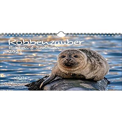 Seelenzauber Robbenzauber DIN A4 calendar for 2023 seals and sea lions Seelenzauber Robbenzauber DIN A4 calendar for 2023 seals and sea lions