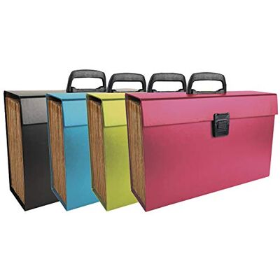 Exacompta Ref 58420E Multipart Expanding Case with Handle 385 x 250mm in Size, Ideal for A4 Size Documents, 20 Tabbed Sections, Holds 1000 Sheets Random Colour Exacompta Ref 58420E Multipart Expanding Case with Handle 385 x 250mm in Size, Ideal for A4 Size Documents, 20 Tabbed Sections, Holds 1000 Sheets Random Colour