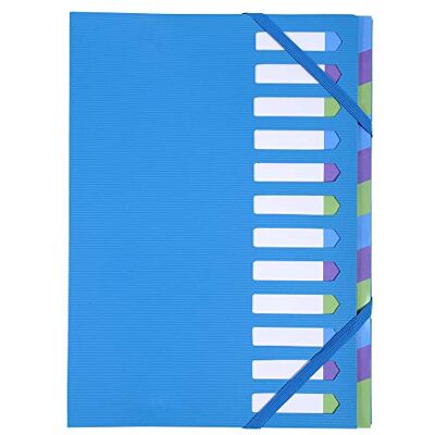 Exacompta Ref 52362E Campus Neon Harmonika Expanding Spine Multipart File 245 x 320mm in Size, Suitable for A4 Size Documents, 12 Tabbed Sections Blue Exacompta Ref 52362E Campus Neon Harmonika Expanding Spine Multipart File 245 x 320mm in Size, Suitable for A4 Size Documents, 12 Tabbed Sections Blue