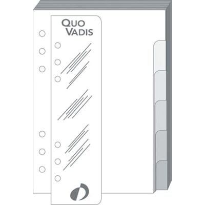 QUO VADIS Refill Divider + Ruler T17 10 x 17 cm Year QUO VADIS Refill Divider + Ruler T17 10 x 17 cm Year