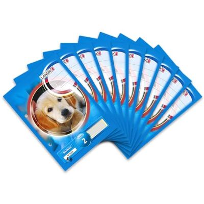 LANDRE 100050472 School Pad A5 50 Sheets 80 g/m² Fine Wood- Paper Lined 1, for All Types of Handwriting Head Hook (Pack of 10 School Pad, A5, 50 Pages, Ruling 2 for All Writing 0 LANDRE 100050472 School Pad A5 50 Sheets 80 g/m² Fine Wood- Paper Lined 1, for All Types of Handwriting Head Hook (Pack of 10 School Pad, A5, 50 Pages, Ruling 2 for All Writing 0