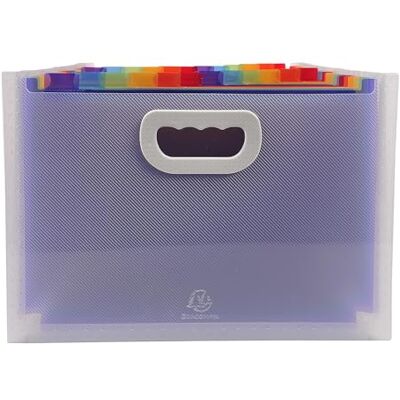 Exacompta Ref 55198E Crystal Multipart Expanding Case 330 x 235 x 250mm in Size, Ideal for A4 Size Documents, 24 Tabbed Sections, Holds up to 800 Sheets Exacompta Ref 55198E Crystal Multipart Expanding Case 330 x 235 x 250mm in Size, Ideal for A4 Size Documents, 24 Tabbed Sections, Holds up to 800 Sheets
