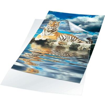 Durable Transparent Plastic Wallets A3 Rigid Poly Pockets with Thickness of 0.30 mm Pack of 10 Punched Pockets Durable Transparent Plastic Wallets A3 Rigid Poly Pockets with Thickness of 0.30 mm Pack of 10 Punched Pockets