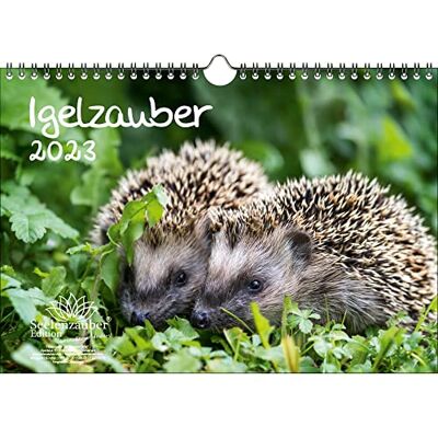 Seelenzauber Hedgehog Magic DIN A4 Calendar for 2023 Hedgehog Seelenzauber Hedgehog Magic DIN A4 Calendar for 2023 Hedgehog