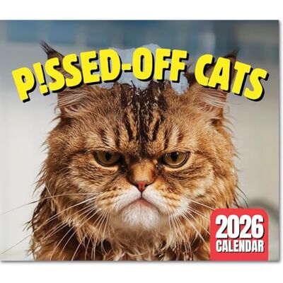 LOOKIN’ FRIDAY 2025 Peed-Off Cats Calendar Funny Cat Themed Gifts For Cat Lovers LOOKIN’ FRIDAY 2025 Peed-Off Cats Calendar Funny Cat Themed Gifts For Cat Lovers