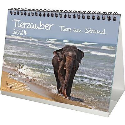 Seelenzauber Tierzauber Beach DIN A5 Desk Calendar for 2024 Various Animals on the Beach Seelenzauber Tierzauber Beach DIN A5 Desk Calendar for 2024 Various Animals on the Beach