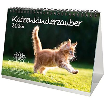 Seelenzauber Katzenkinderzauber DIN A5 Desk Calendar for 2022 Cats Children Cats Babies Seelenzauber Katzenkinderzauber DIN A5 Desk Calendar for 2022 Cats Children Cats Babies