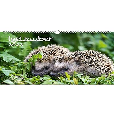 Seelenzauber Hedgehog Magic DIN A3 Calendar for 2023 Hedgehog Seelenzauber Hedgehog Magic DIN A3 Calendar for 2023 Hedgehog