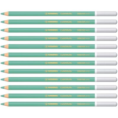 STABILO CarbOthello Chalk-Pastel Pencil Pack of 12 Green Light STABILO CarbOthello Chalk-Pastel Pencil Pack of 12 Green Light