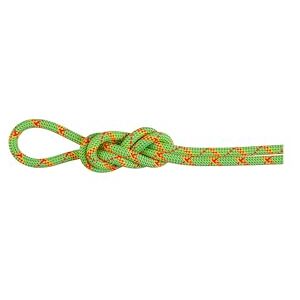 Mammut 8,0 Alpine Core Protect Dry Rope - Climbing Rope Mammut 8,0 Alpine Core Protect Dry Rope - Climbing Rope