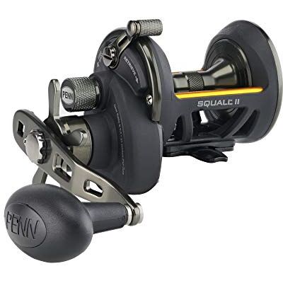 Penn Squall II Star Drag Conventional Fishing Reel Penn Squall II Star Drag Conventional Fishing Reel