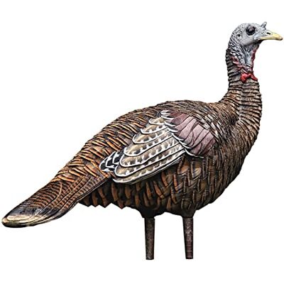 Avian-X Lookout Hen Turkey Decoy, Lifelike Collapsible Decoy, Multi, Model:8006 Avian-X Lookout Hen Turkey Decoy, Lifelike Collapsible Decoy, Multi, Model:8006