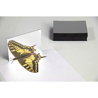 WISSNER 81500 aktiv lernen - Mirror WISSNER 81500 aktiv lernen - Mirror