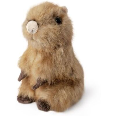 Living Nature Capybara Plush Toy 16 cm Fluffy Realistic Plush, Cuddly Stuffed Animal Gift for Kids Living Nature Capybara Plush Toy 16 cm Fluffy Realistic Plush, Cuddly Stuffed Animal Gift for Kids