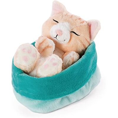 Nici Soft Toy Cat in blue-green basket 16 cm Sleeping Kitties cuddly toys for Girls, Boys & Babies Plush stuffed animal cats for playing, cuddling & sleeping with Nici Soft Toy Cat in blue-green basket 16 cm Sleeping Kitties cuddly toys for Girls, Boys & Babies Plush stuffed animal cats for playing, cuddling & sleeping with